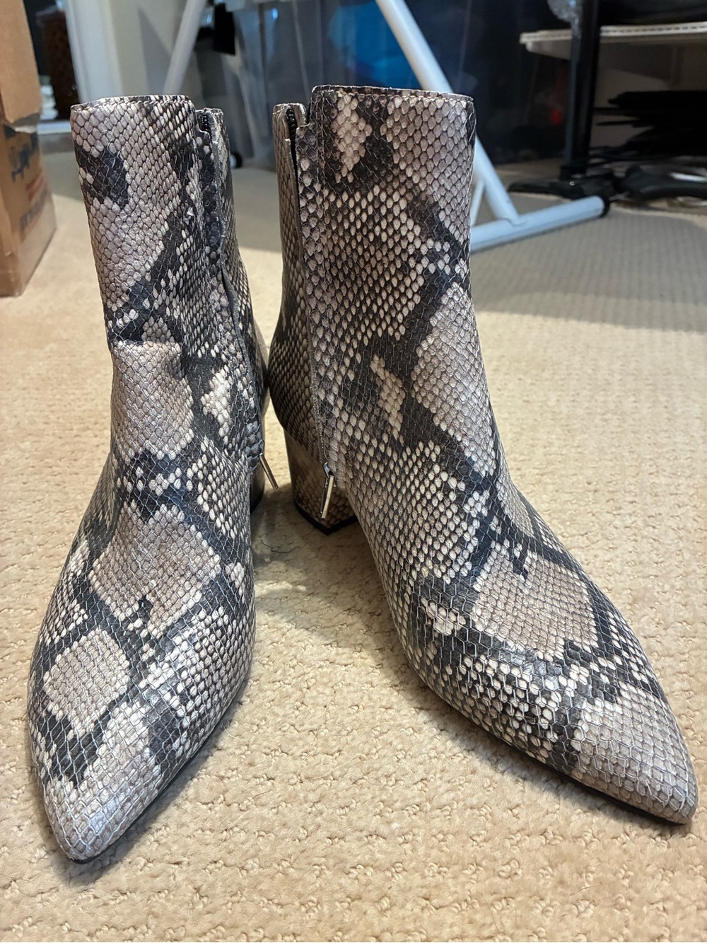 Dolce Vita Snake-Print Pointed Toe Ankle Boots - Black & Gray